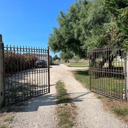 « La Parenthese » Gite En Camargue Arles Buitenkant foto