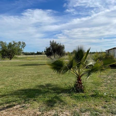 « La Parenthese » Gite En Camargue Arles Buitenkant foto