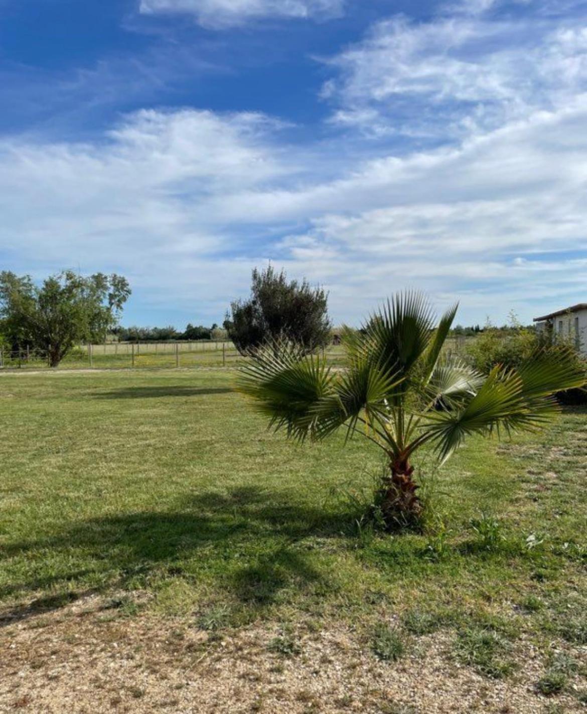 « La Parenthese » Gite En Camargue Arles Buitenkant foto